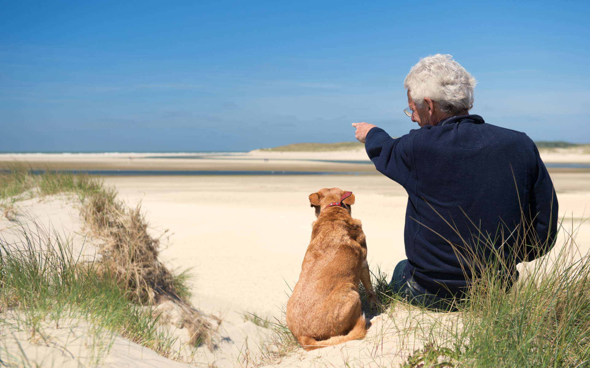 Auf Langeoog sind Hunde willkommen